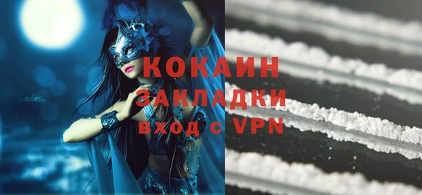 прущие грибы Кукмор
