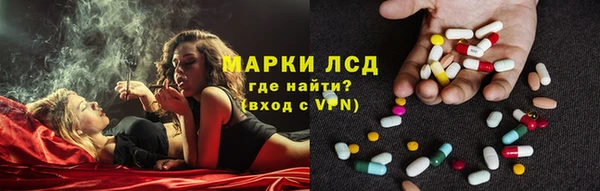прущие грибы Кукмор