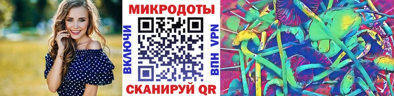 Купить закладки  Буинск  Псилоцибиновые грибы Psilocybe 